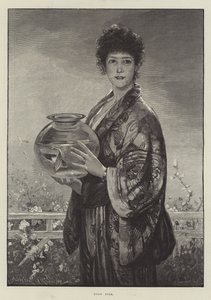 Poisson rouge - Davidson Knowles